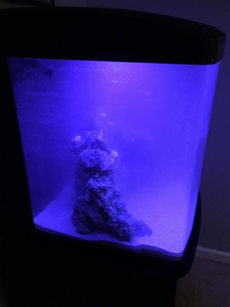 Image result for BioCube Filter Setup