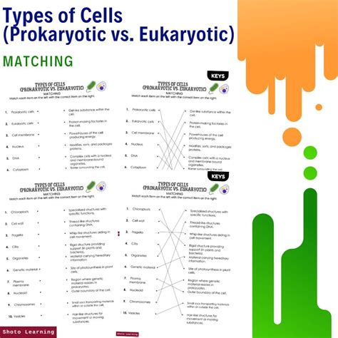 Grade 7 Science Test – Prokaryotic vs. Eukaryotic Cells