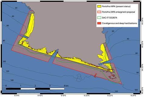 High Megabenthic Complexity and Vulnerability of a Mesophotic Rocky ...