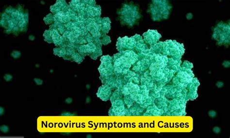 Norovirus: जानें क्या हैं लक्षण और कैसे करें बचाव
