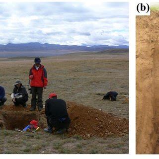 Image result for Soil Collection