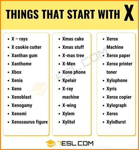 Best 12 197 Examples of Nouns that Start with X in English – Artofit