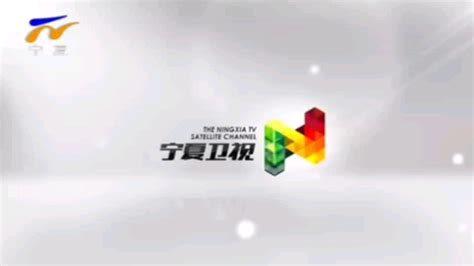 宁夏卫视《东方时空》-影视综视频-搜狐视频