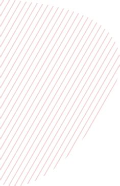 ABOUT US | FRR Forex