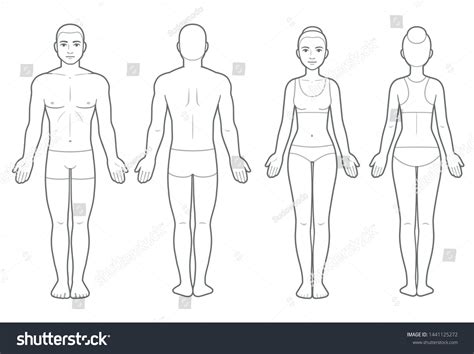Female Body Outline Clipart Anatomy Diagram Cartoon Network