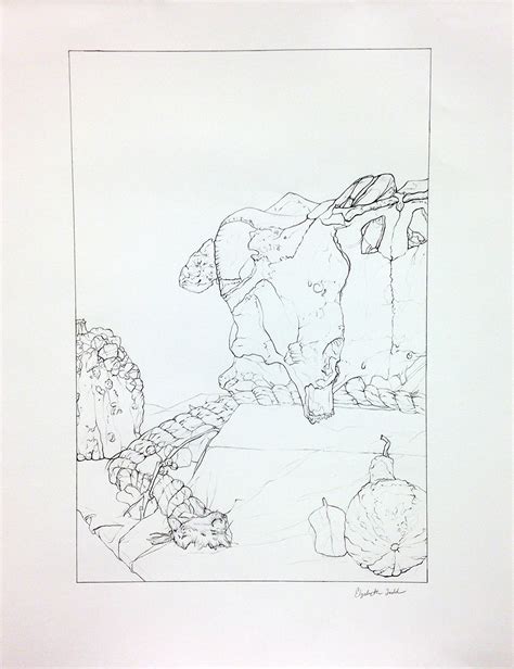 Contour Line Drawing 的图像结果