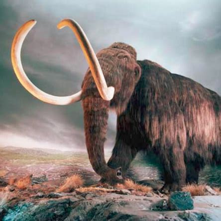 Image result for Extinct Creatures