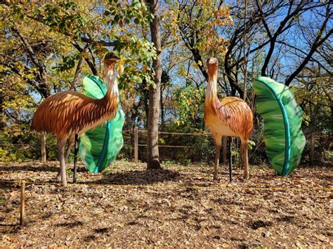 Oklahoma City Zoo: Information, Tickets and Reviews