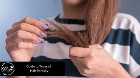 Guide to Types of Hair Porosity and Taking a Hair Porosity Test – Roxie ...