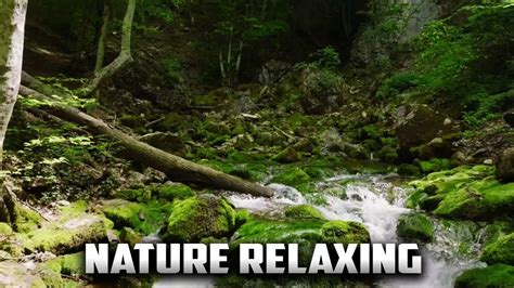 Relax 的图像结果