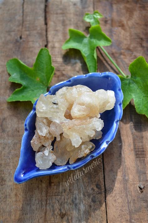 5 Top Benefits & Uses Of Badam Pisin | Almond Gum | Badam Gum | Badam ...