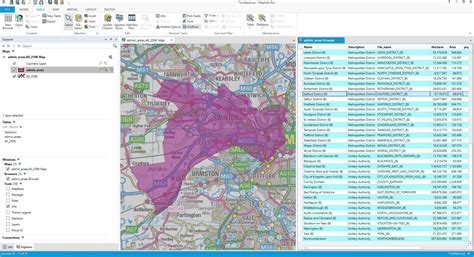 MapInfo Pro prices and download - Geo Added Value | First Element