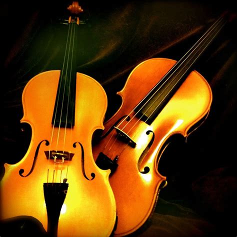 Image result for Beautiful Musical Instruments