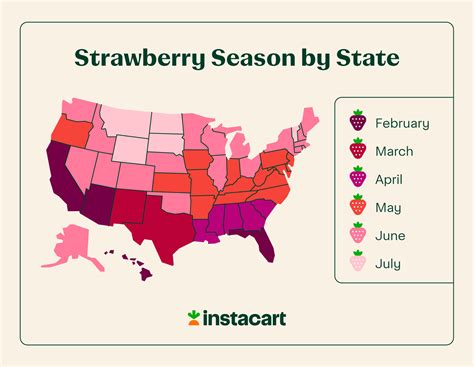 What Is Strawberry Season In Texas at Tyler Mckinley blog