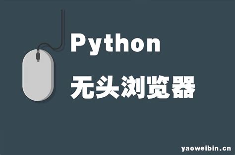 Web Browser Using Python 的图像结果