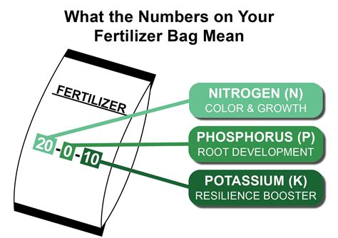 Lawn Fertilizer Numbers: Understanding N-P-K Ratios & What Your Grass Needs