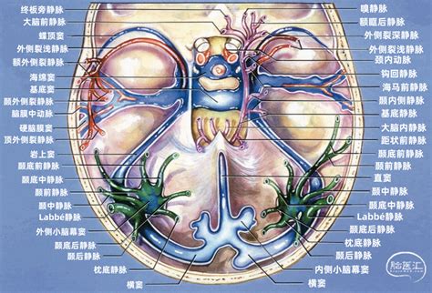 Image result for Alien Science Diagram