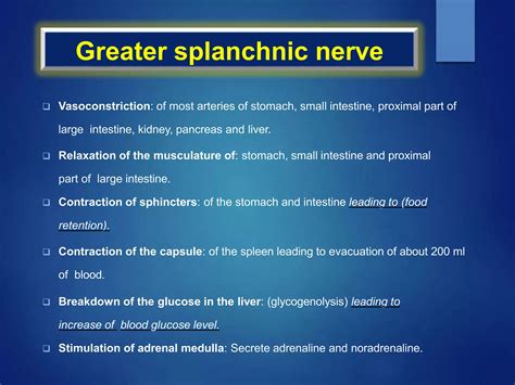 Autonomic nervous system | PPTX