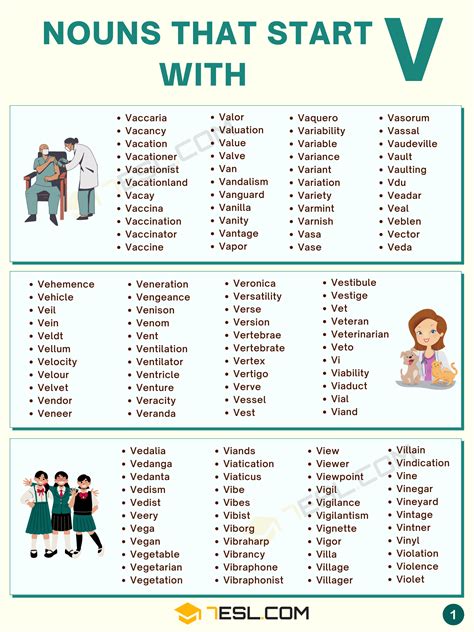 256 Useful Nouns that Start with V in English • 7ESL