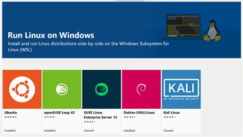 Image result for Subsistem Windows untuk Linux WSL Vs Virtual Machine