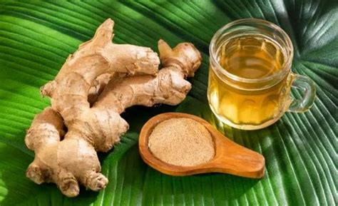 Oleoresins - Zingiber Officinale (Ginger) 3.5% Gingerols As Oleoresin ...