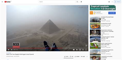 Image result for Chimpchamp How to Go Frame by Frame