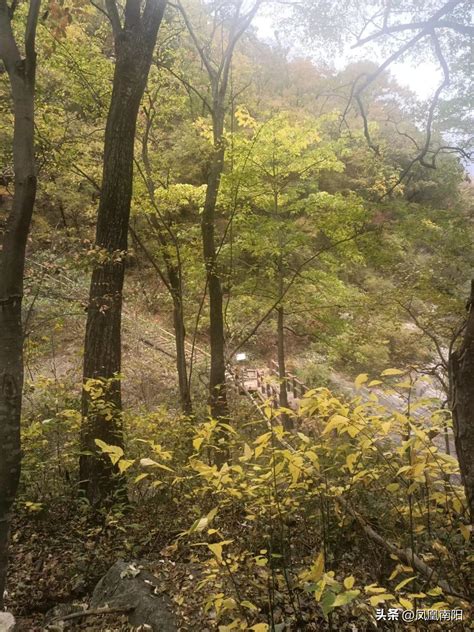 Qiudeng Baotianman - iNEWS