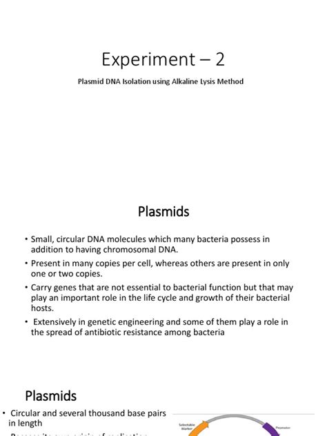 Plasmid Isolation 的图像结果