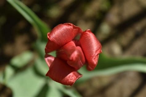Image result for Problem Solution Based