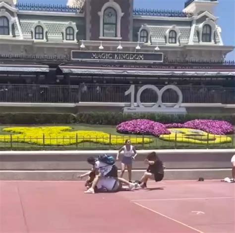 Disney World bans two people after families brawl over photo op: police