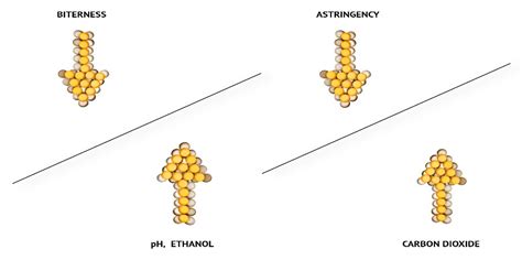 Beer Polyphenols—Bitterness, Astringency, and Off-Flavors