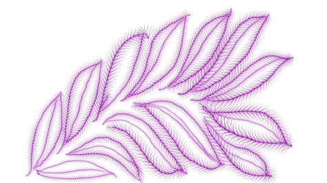 Draw/Paint 的图像结果