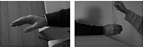 Image result for Ruler Drop Test Brian Mac