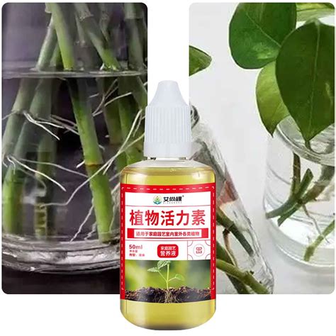 YANHAIGONG Lush Houseplant Fertilizer,All-Purpose Liquid Plant ...