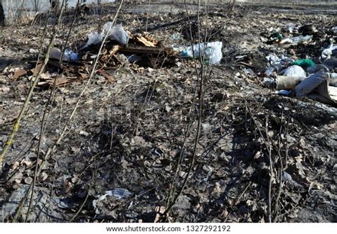 Image result for Landfill Problems