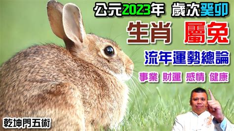 1988年属龙2023年运势及运程详解 88年出生35岁属龙人兔年每月运程如何_起名网