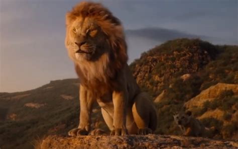 迪士尼经典动画真人(狮)版电影《狮子王》：全新中文预告以及新剧照曝光-新闻资讯-高贝娱乐