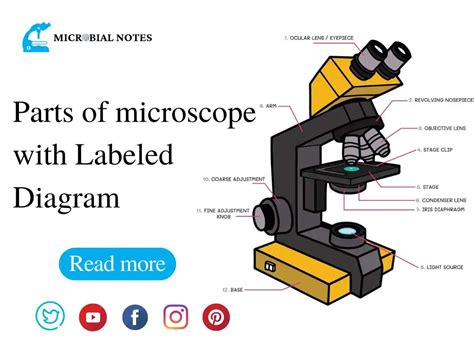 Microscope Labeled Parts 的图像结果