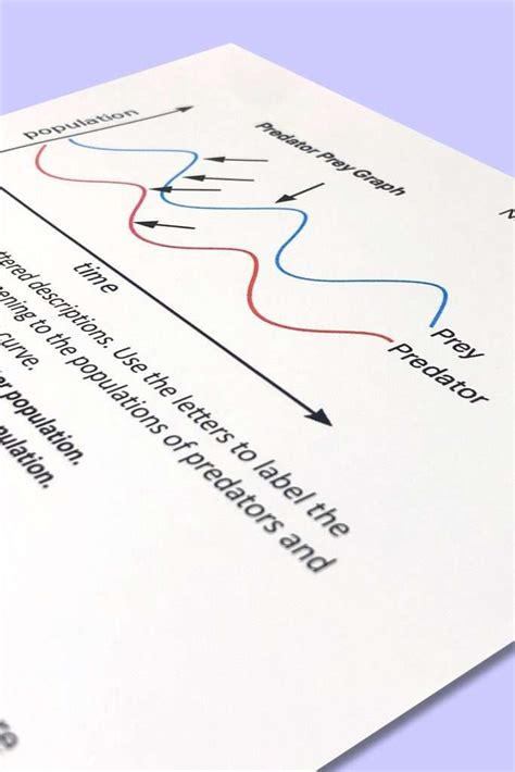 Ecosystem Graph 的图像结果