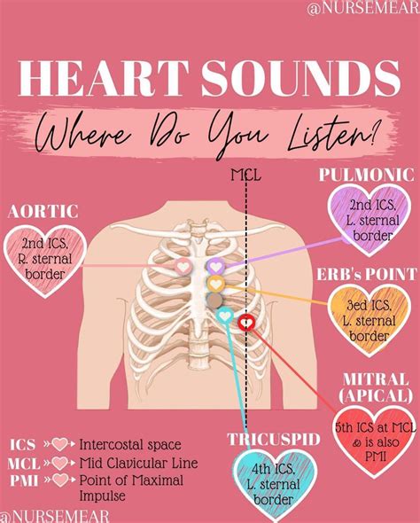 Danraj Francis, MSN, APRN, NP-C on Instagram: "The five different areas ...