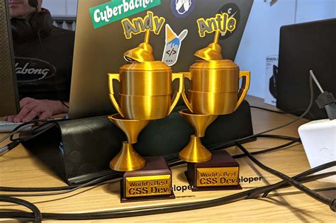 Image result for Best CSS Developer Trophy