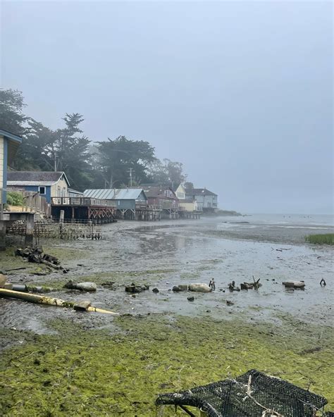 Rory’s Place | Some pics from the rory’s other place field trip to ...