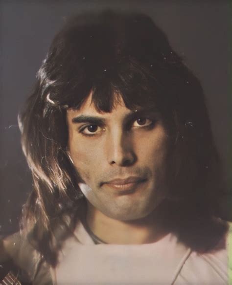 Freddie Mercury Hair at Todd Reno blog