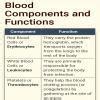 Name the compound of blood and write its function - Brainly.in