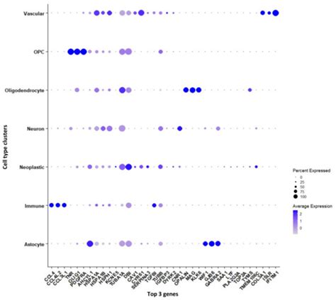 Tumor Heterogeneity and Molecular Characteristics of Glioblastoma ...