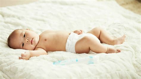 Top 10 Best Organic Diapers of 2022 — Loyal Organic