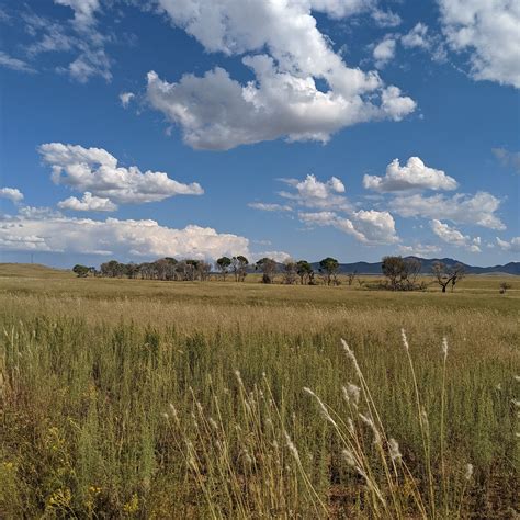 SAN RAFAEL STATE NATURAL AREA - All You Need to Know BEFORE You Go 2026 ...
