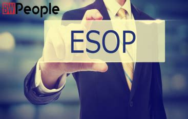 Borosil Renewable Grants ESOPs To Eligible Employees - BW People