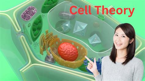 Image result for Cell Theory Explained
