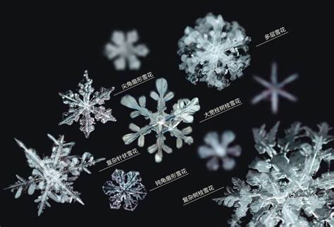 最美的雪花飘落吉林 | 中国国家地理网